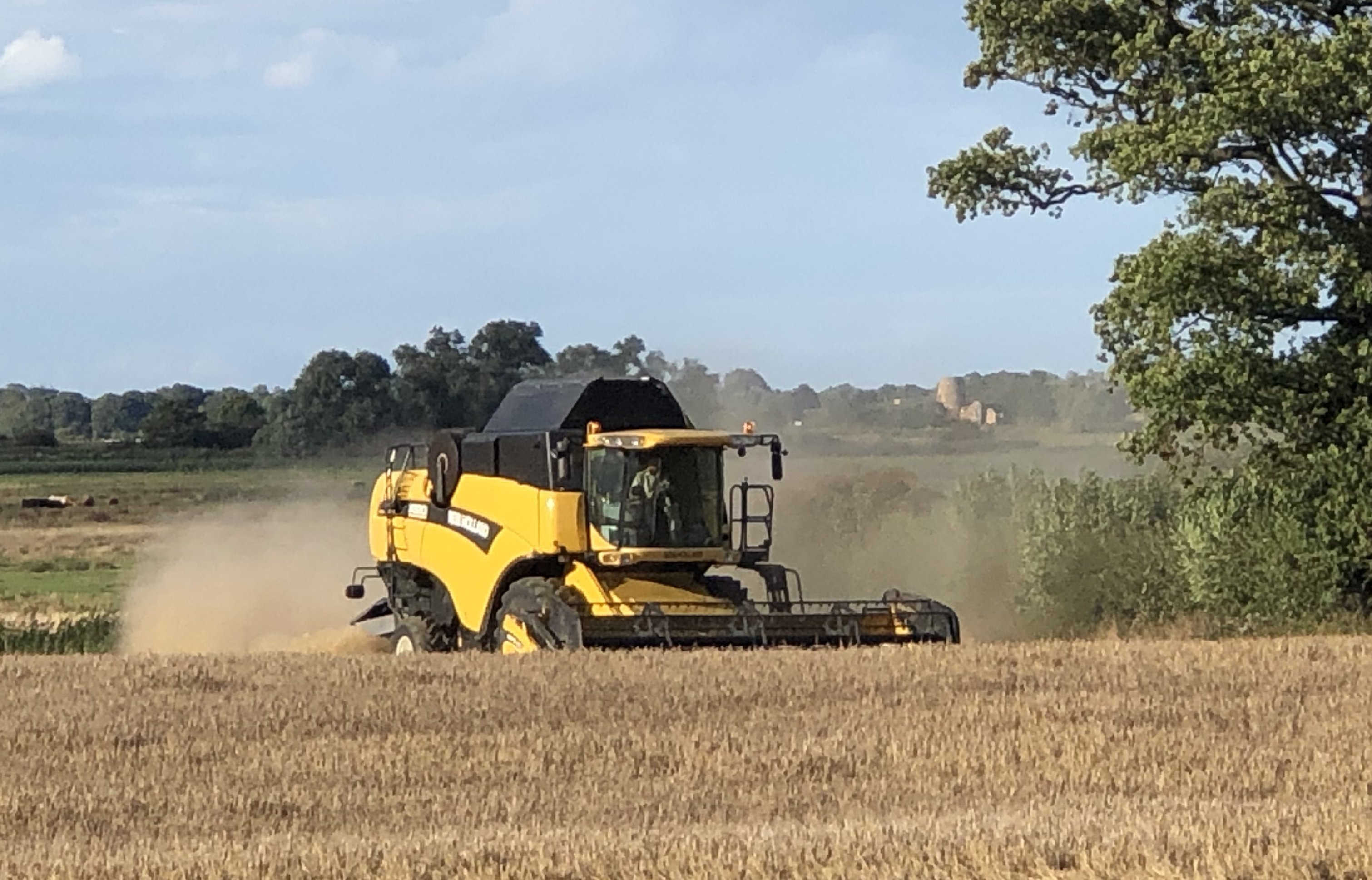 Harvest with St Benet's Abbey in the background - 22nd August 2020